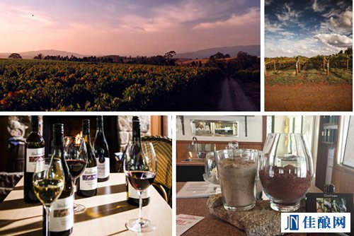 ��ľͥ���f(Shelmerdine)