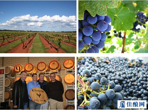 ��{�����f (Koonara)