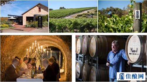 麥克斯維爾酒莊(MaxwellWines)