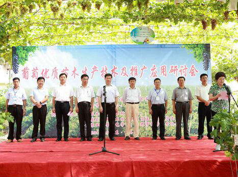 11λ피����҆��\�Ї�������ľ���a(ch��n)���g(sh��)