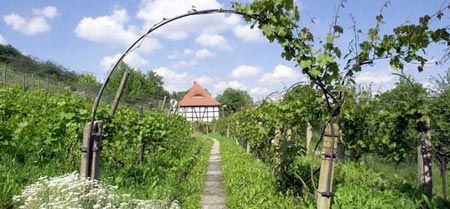 �����ڷ������Ѿ���֮· Ʒζ�����c����