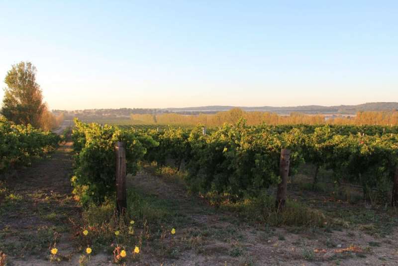 南澳一角的秘密產(chǎn)區(qū)