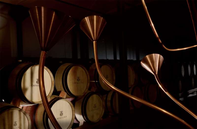 ������������a�^���f�P�c