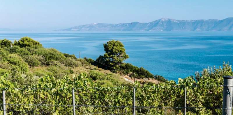 漲知識!論江河湖海對葡萄酒的影響