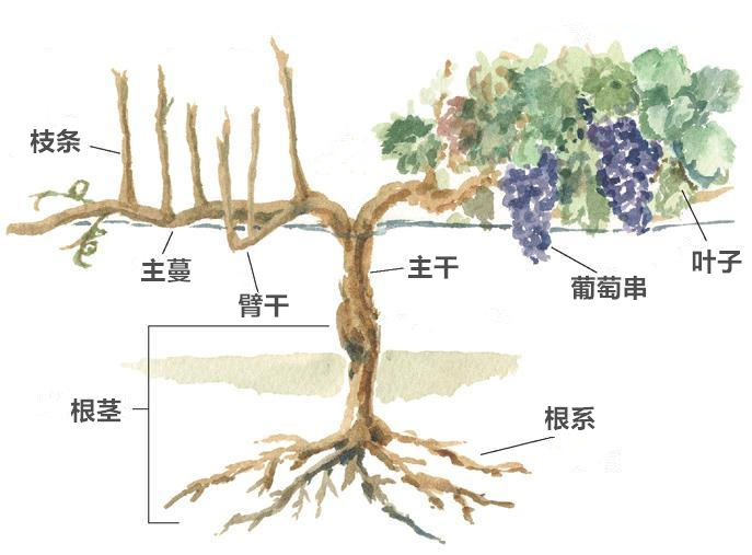 �����ٸ���λ��(g��u)��͹��ܺ���