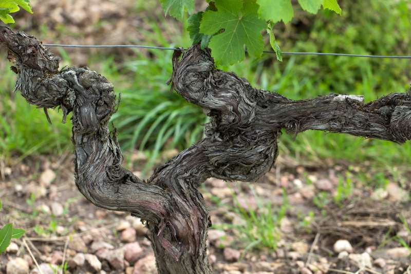 �����ٸ���λ��(g��u)��͹��ܺ���