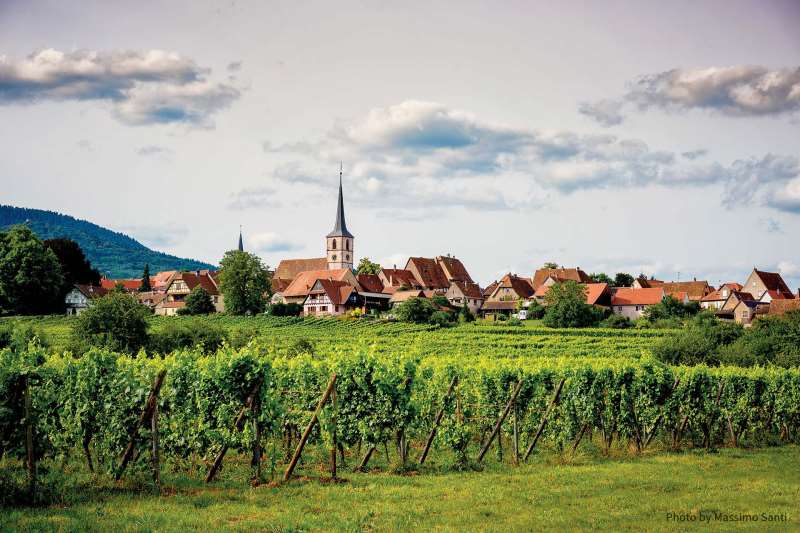 走近法國鮮為人知的黑皮諾產區