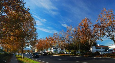 �L��������Ѿ��f �I�Լ��ݱ����L��  ���� ʮһ�S��������֮�x