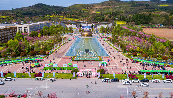 櫻花時節 珍稀春釀 | 金徽酒2023櫻花春釀盛典,珍稀更“珍惜”