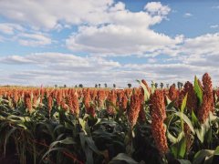 ����Գ֣��ɾͲ��ɏ��Ƶġ��ھ�Ʒ�|�o��